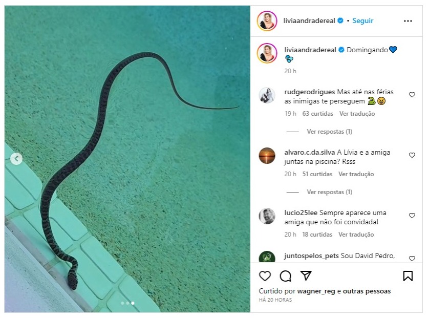 cobra