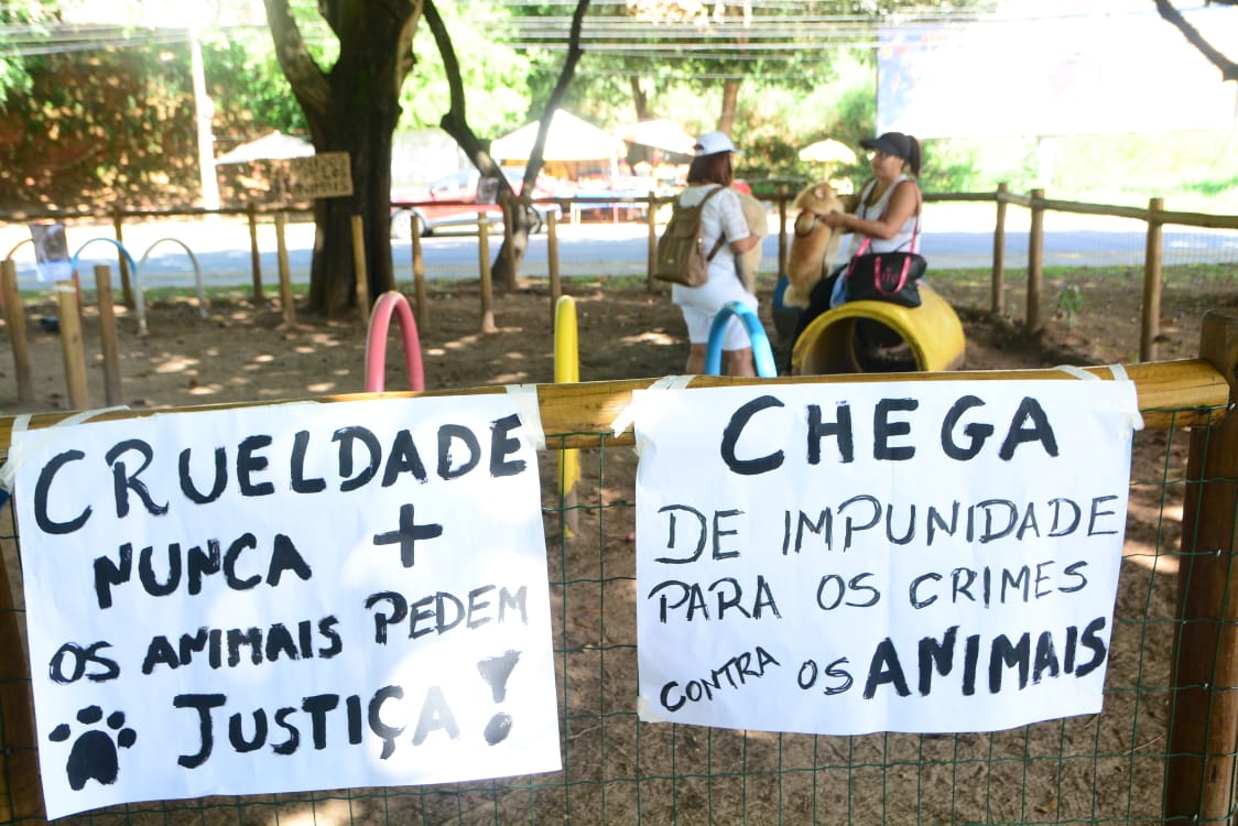 manifestação