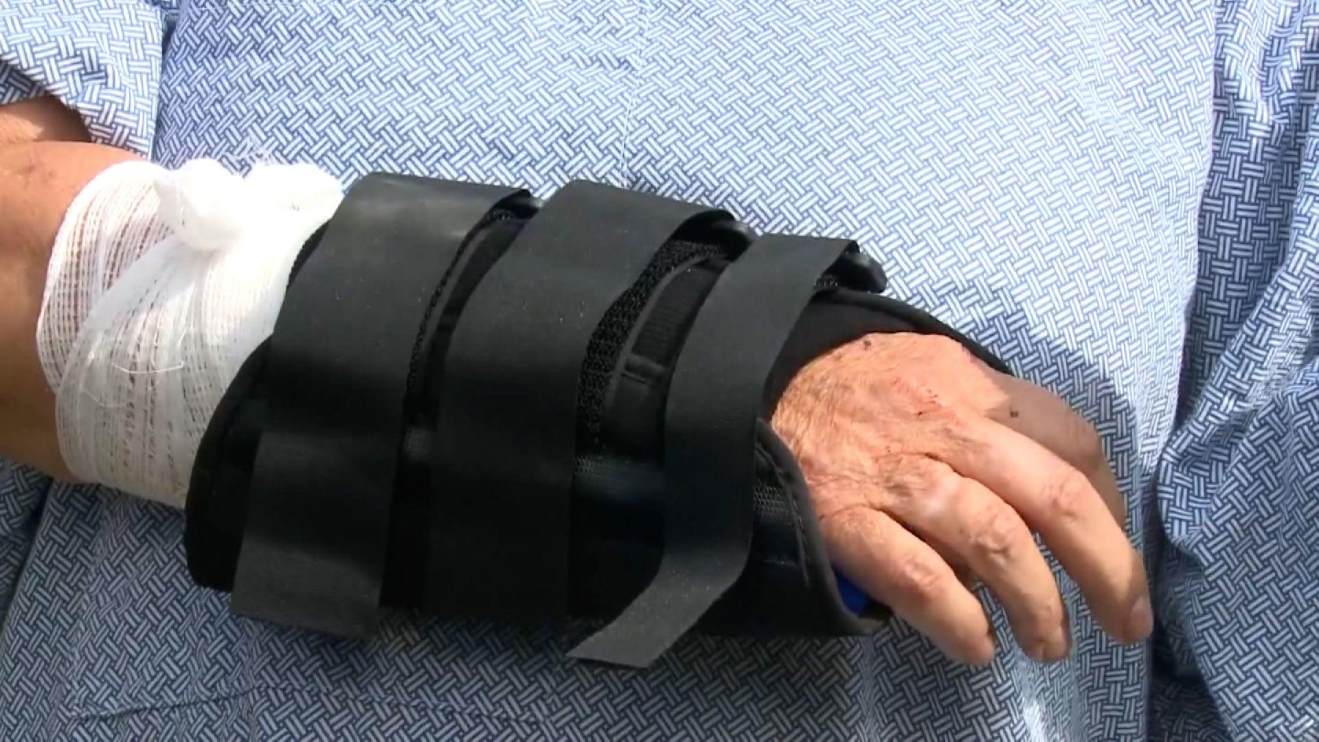 Mulher esmurra urso para proteger cachorro de estimação; confira desfecho