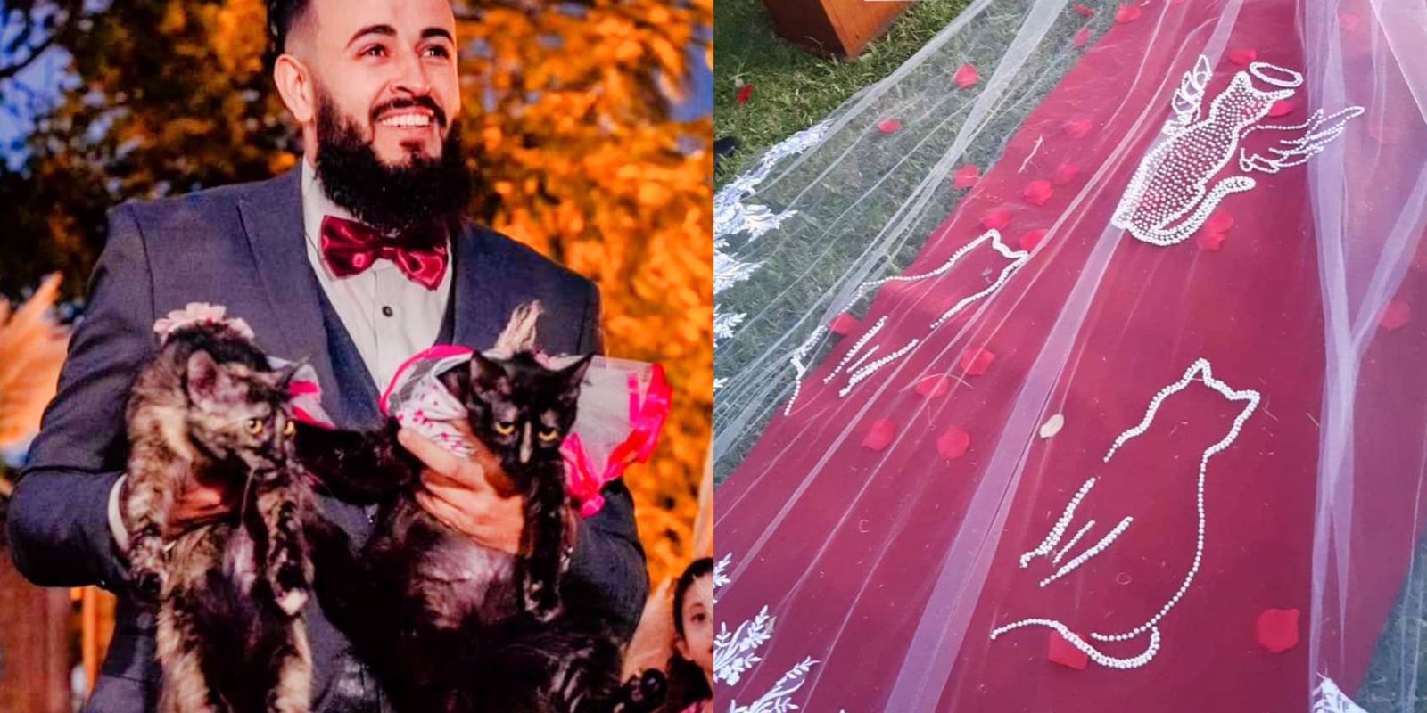 Homem faz surpresa para noiva em altar e mulher cai no choro ao relembrar de gato morto