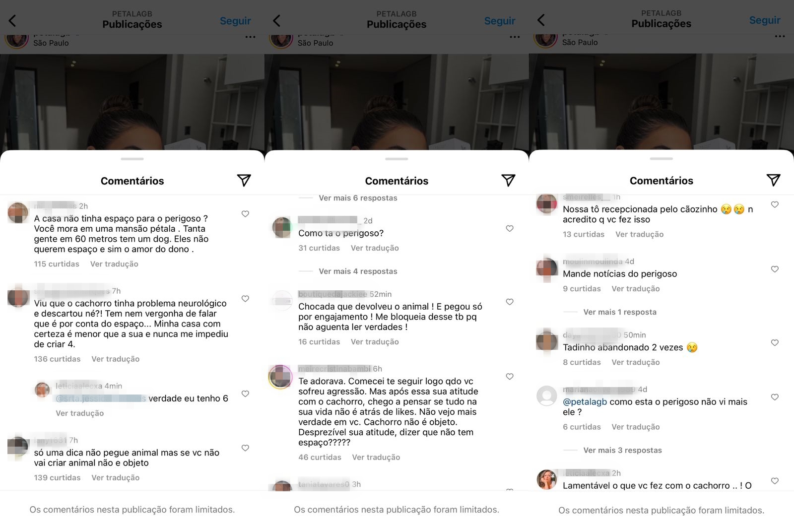 Influenciadora que adotou vira-lata em posto de gasolina doa animal e causa revolta: 'usou para engajamento'