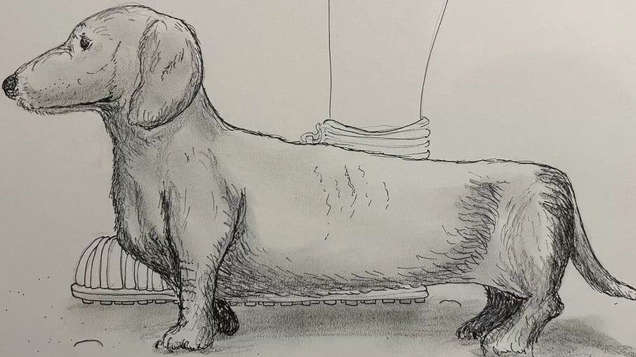 pet