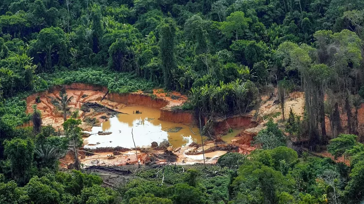 Territórios degradados dos yanomamis registra alta na malária após saída dos garimpeiros.