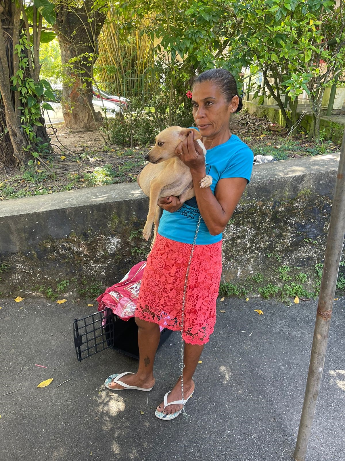Cachorro é abandonado em porta de loja