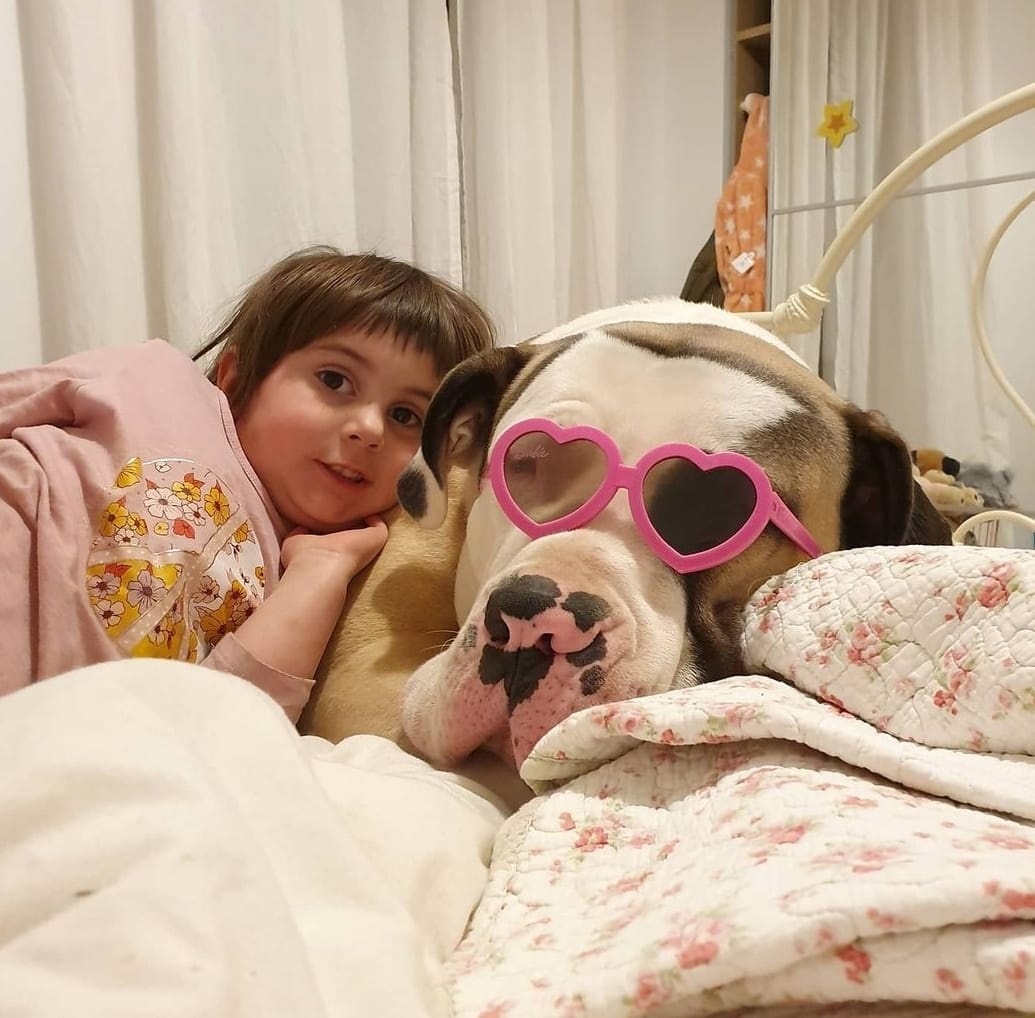 Tutor publica fotos de cachorro gigante e espanta internautas