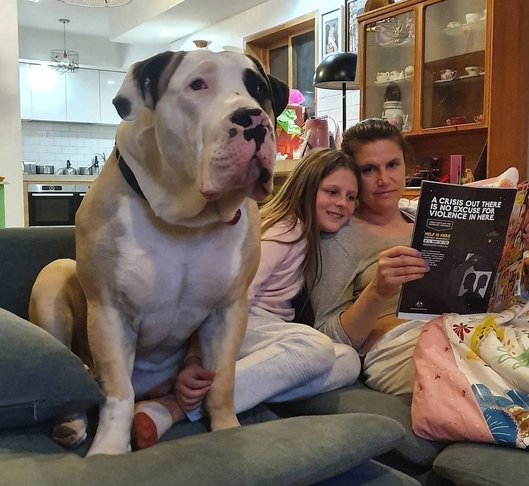 Cachorro gigante é melhor amigo de crianças e protege muito a família