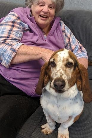 Idosa faz apelo emocionado para cão da mesma raça do seu falecido