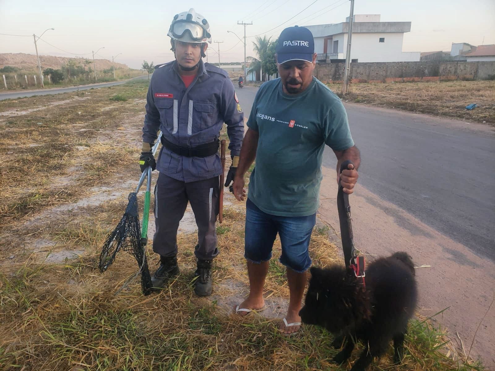 Bombeiros retiram cachorro de lugar inusitado na Bahia após três dias de desaparecimento 