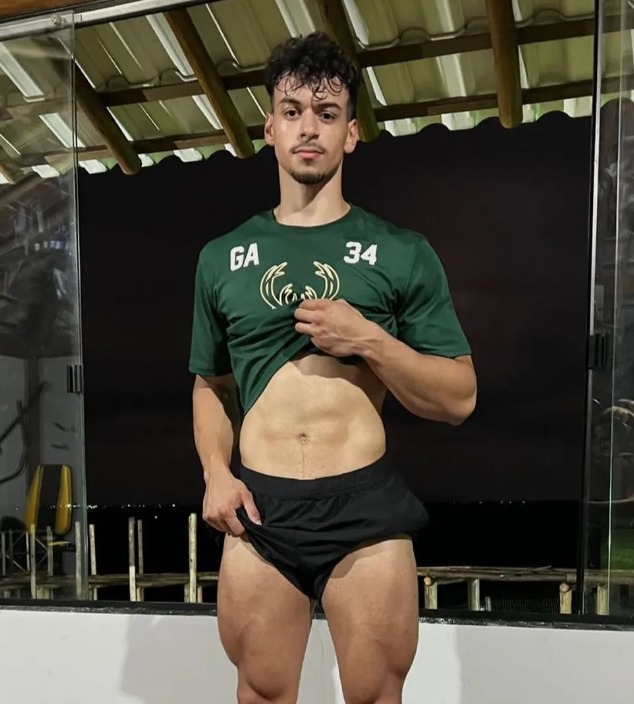 divulgação