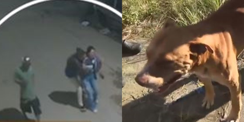 Dona de casa morta após sair do forró