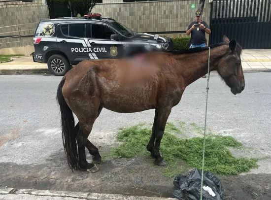 Divulgação// Polícia Civil de Alagoas