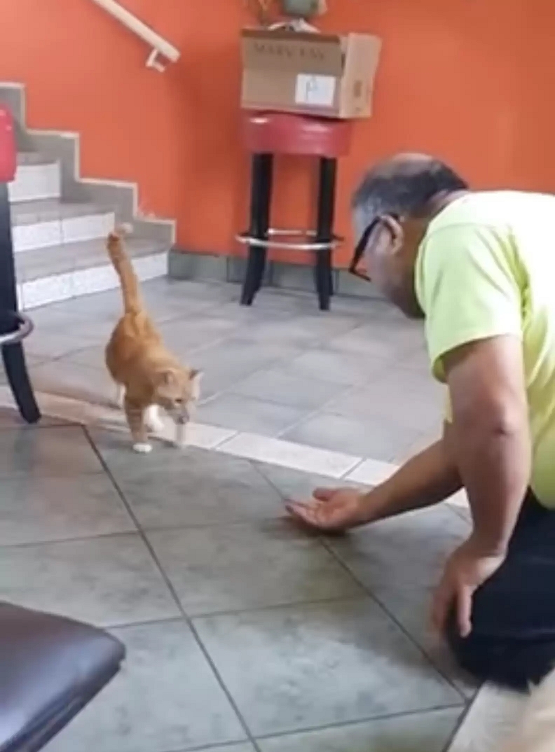 Desolado após morte de gato, homem ganha presente e tem reação emocionante; assista