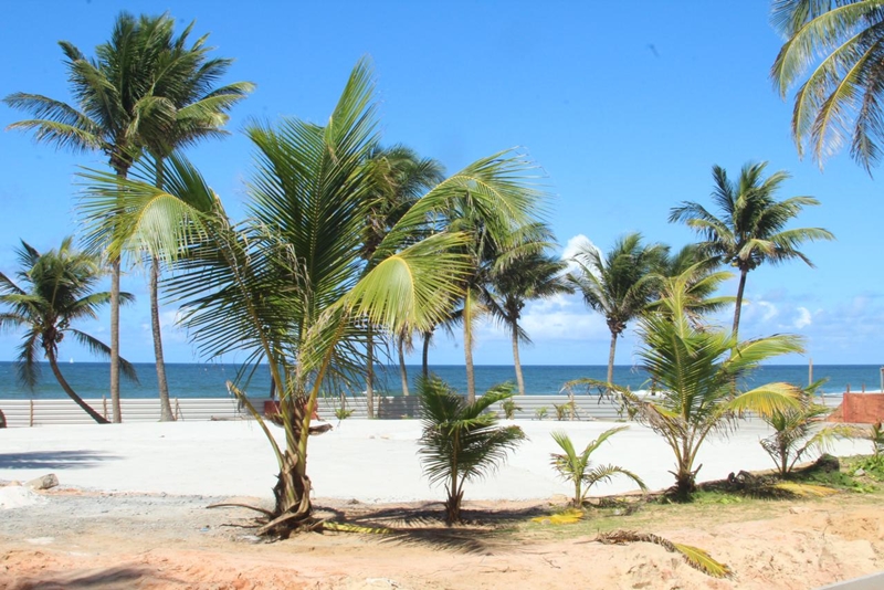 A obra de requalificação da região afeta, segundo eles, o ambiente natural do trecho na Praia do Flamengo. Foto: Domingos Júnior/BNews