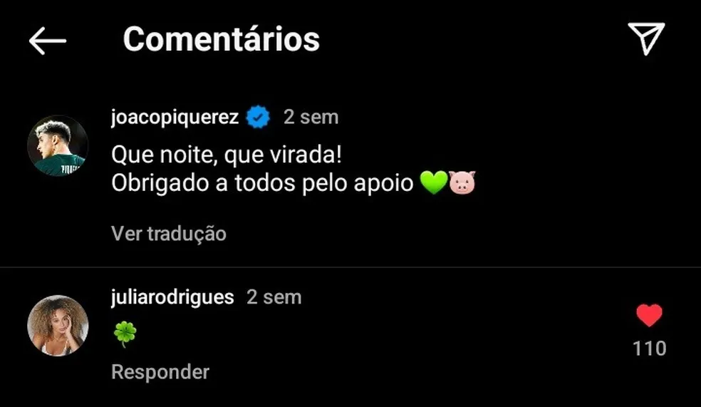 julia rodrigues