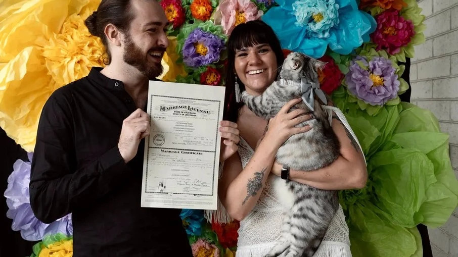 Gata vira testemunha legal de casamento de tutora: "ela é muito especial"; assista 