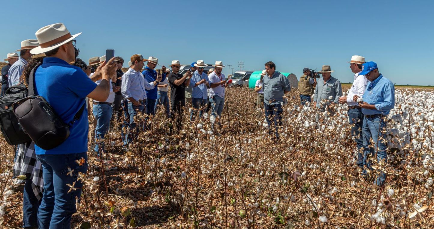 Fazenda Agrobasso