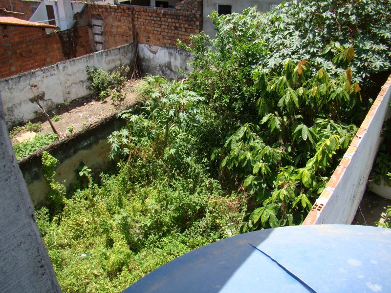 Foto: Everaldo Lins