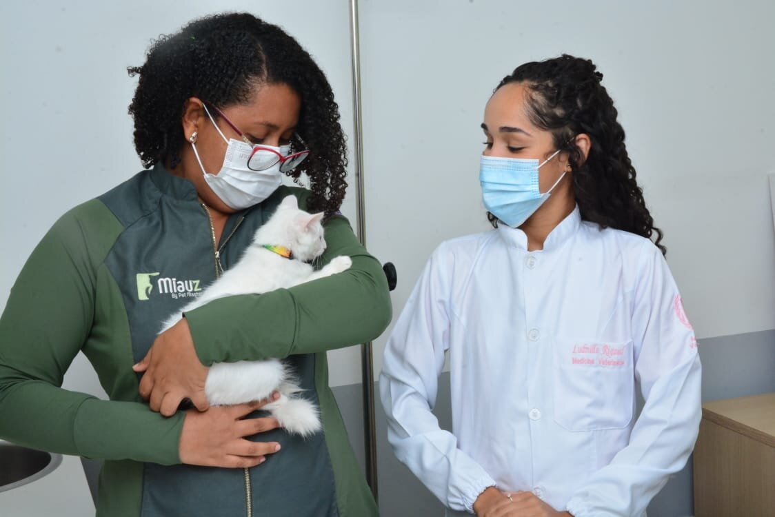 Dono de loja exclusiva para gatos
