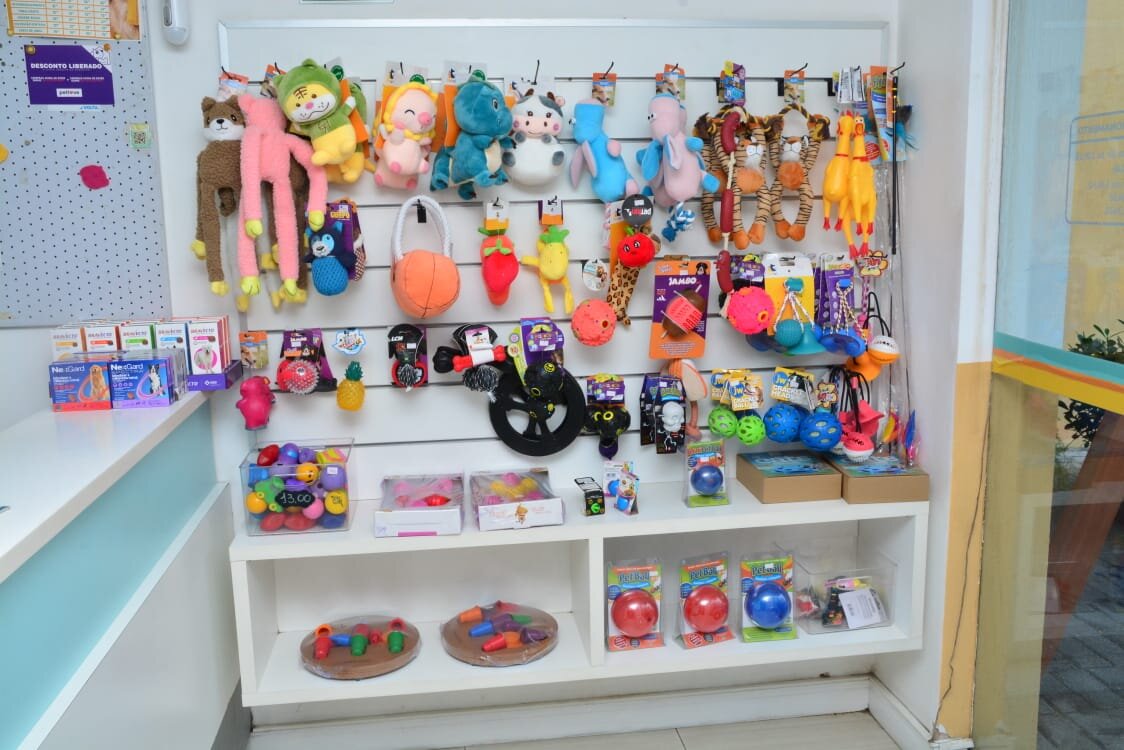 Dono de loja exclusiva para gatos justifica escolha e planeja novos projetos