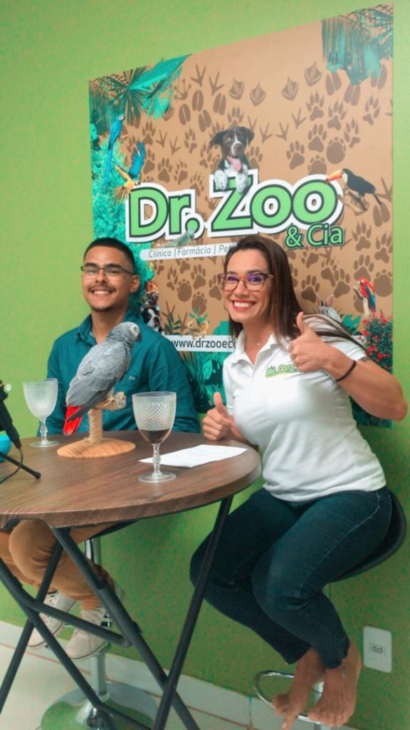 Psitacídeos: Saiba os benefícios de ter aves como pets e quais cuidados se deve ter com elas 