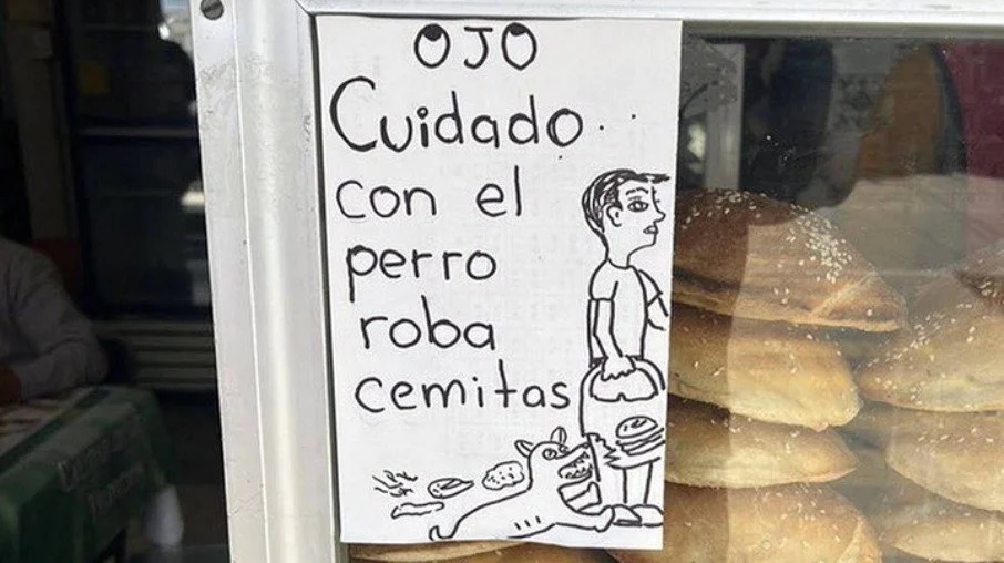Cachorro fica conhecido por furtar clientes em padaria e dono de estabelecimento toma atitude