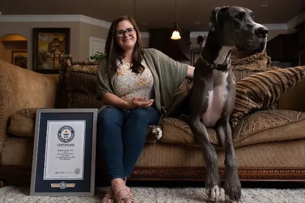 Guinness World Records mostra cachorro mais alto do mundo