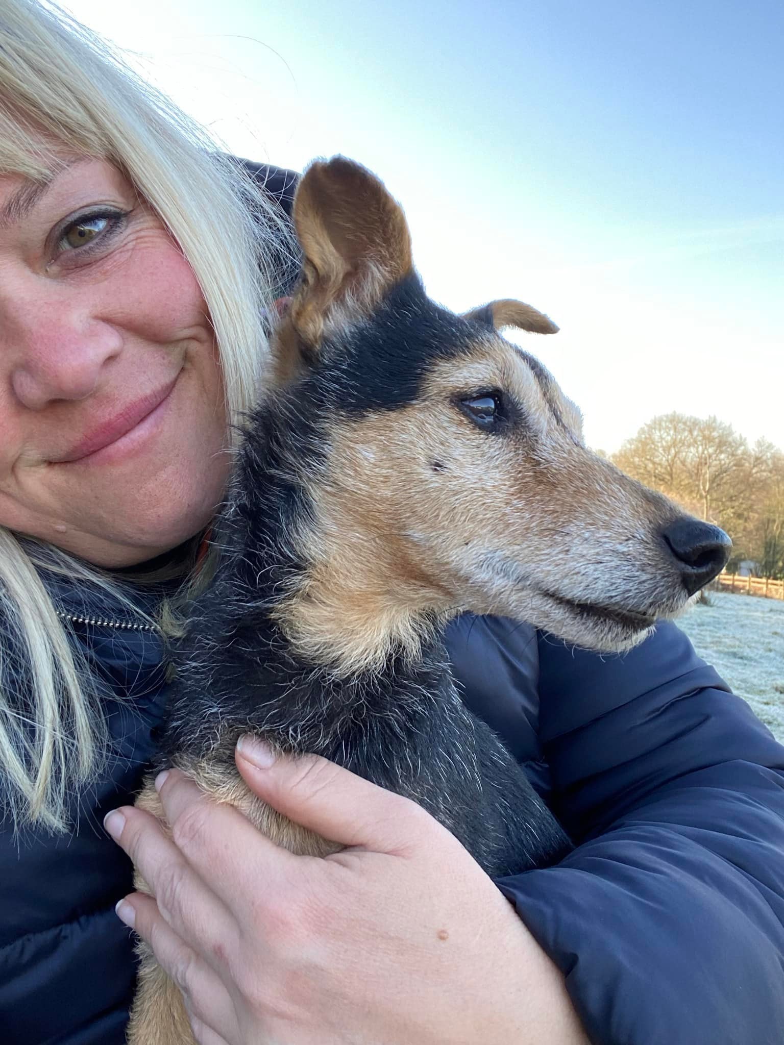 Cadela foge de casa e é encontrada em local inusitado após quase três dias; veja vídeo 