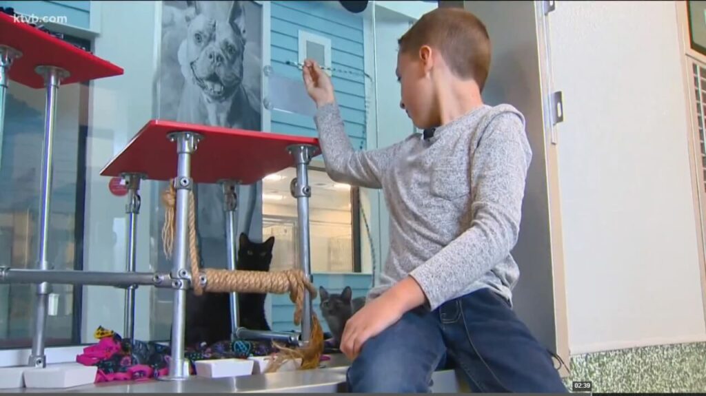 Criança arrecada mais de R$ 9 mil para ajudar abrigo de animais; saiba como