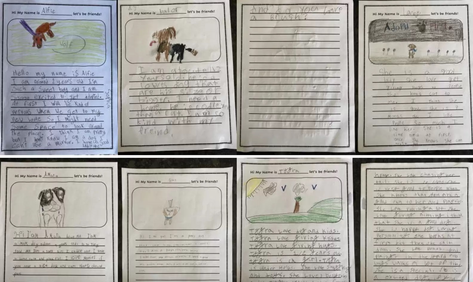 Crianças desenham fotos de cães de abrigo para ajudá-los a serem adotados e projeto surpreende; veja vídeo