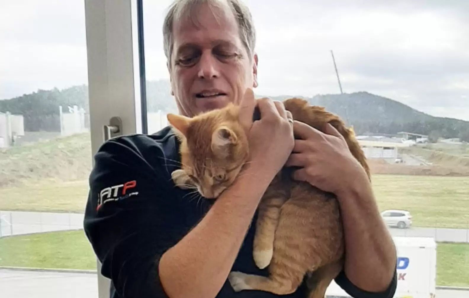 Gata dorme dentro de caixa e é despachada no correio sem querer