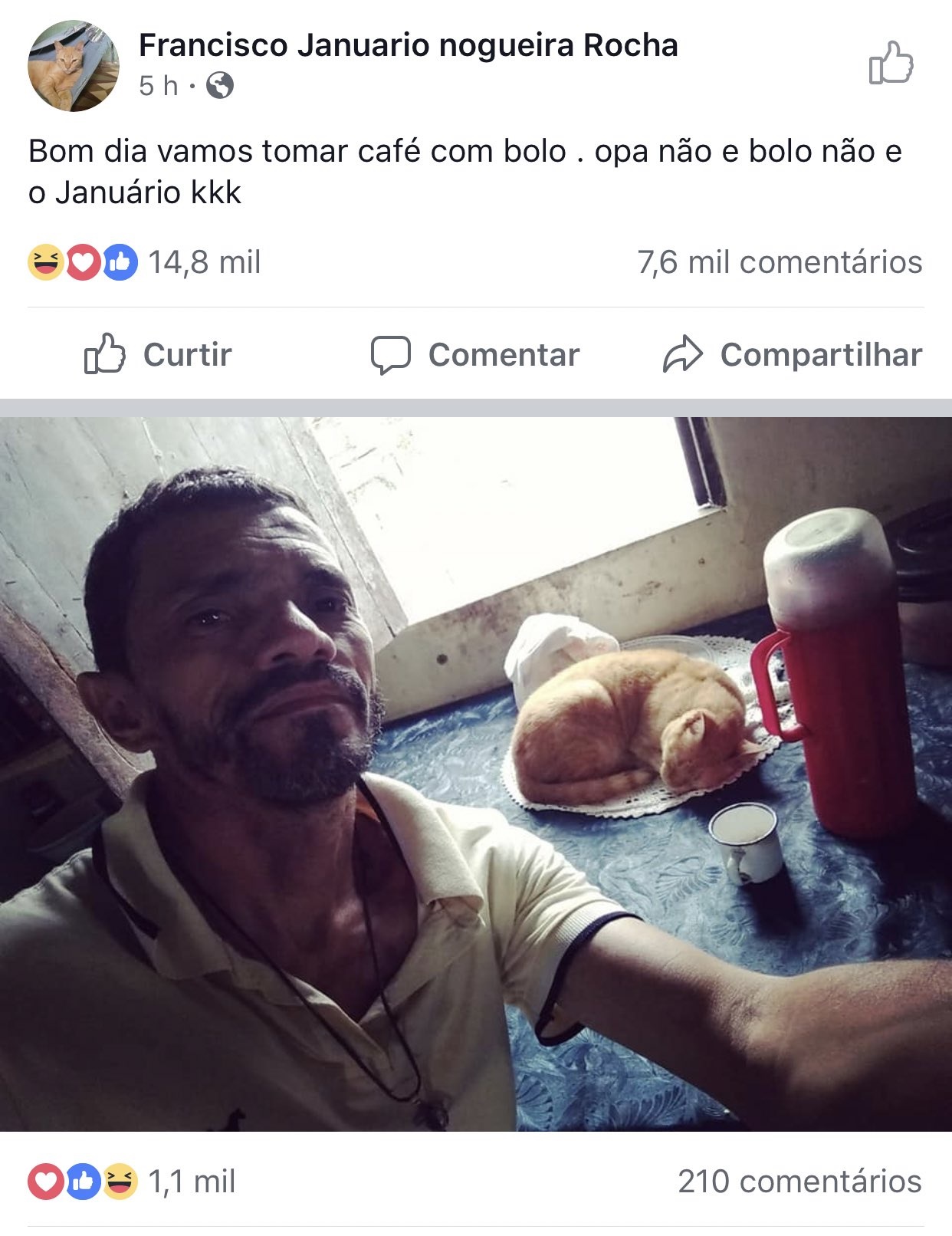 morre o gato Januário