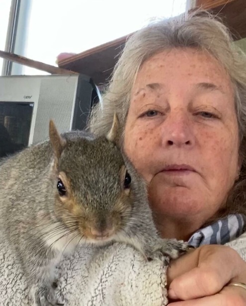 Mulher ajuda esquilo órfão
