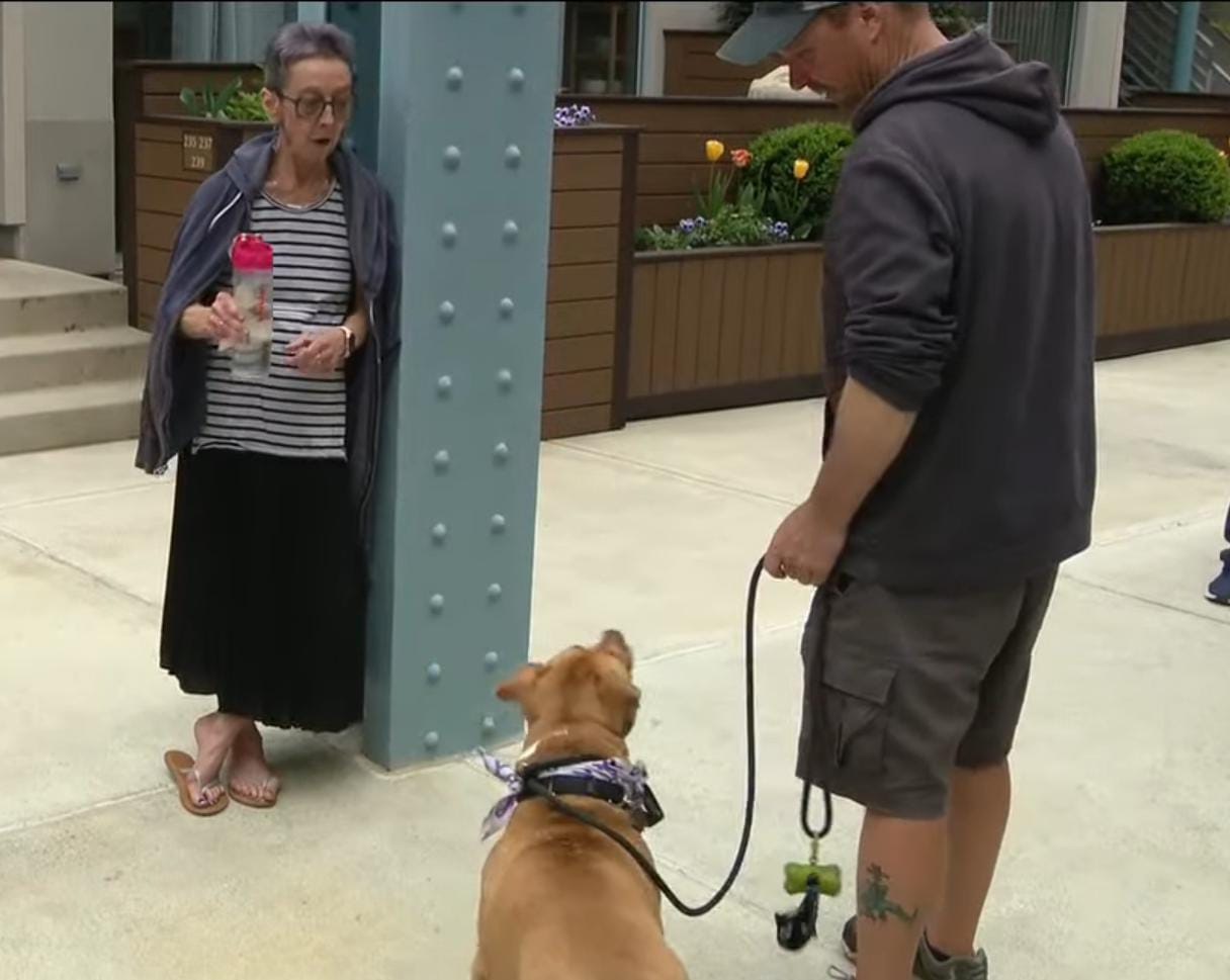 Mulher com câncer terminal procura novo lar para sua pit bull