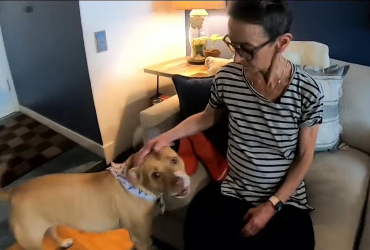 Tutora com câncer terminal quer se certificar que animal será bem tratada