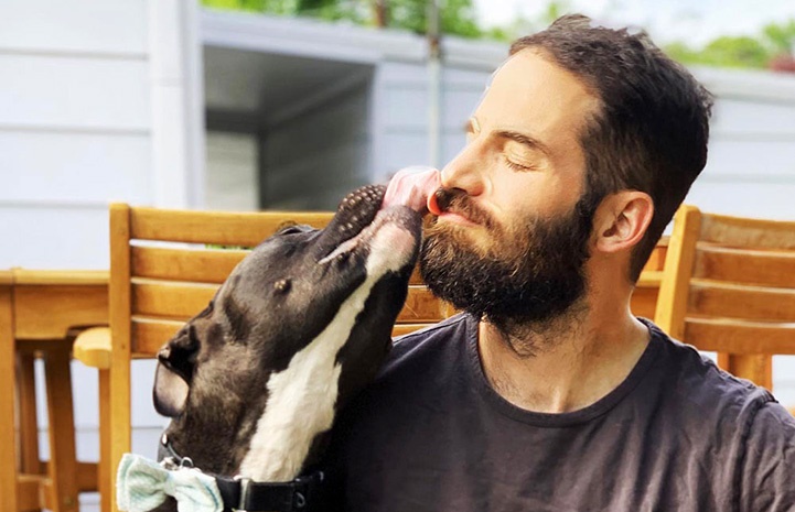 Pit bull agressivo e ignorado em abrigo consegue uma nova chance