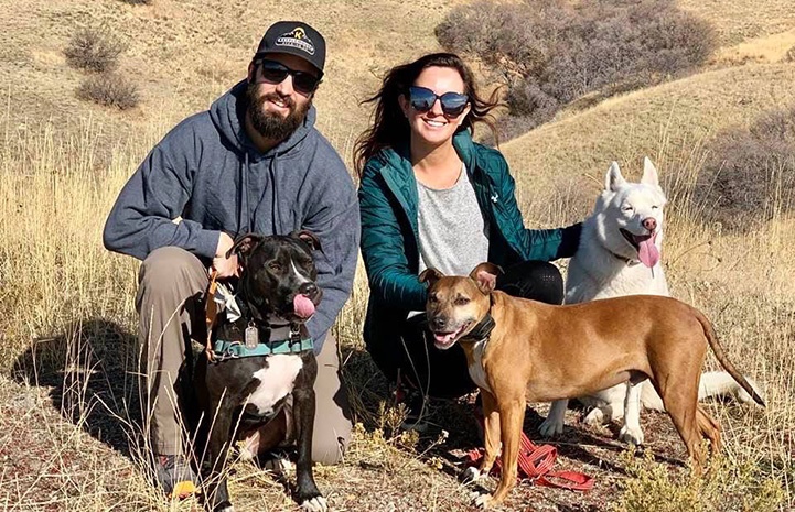 Casal consegue ganhar coração de pit bull agressivo que era ignorado em abrigos