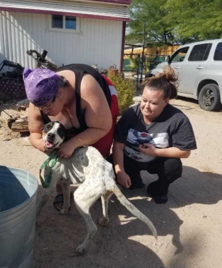 Cachorro se perde em acidente de carro e só reencontra família após três meses