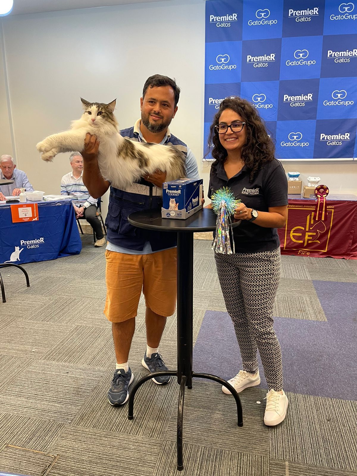 Descubra quais gatos foram os vencedores de concurso felino 