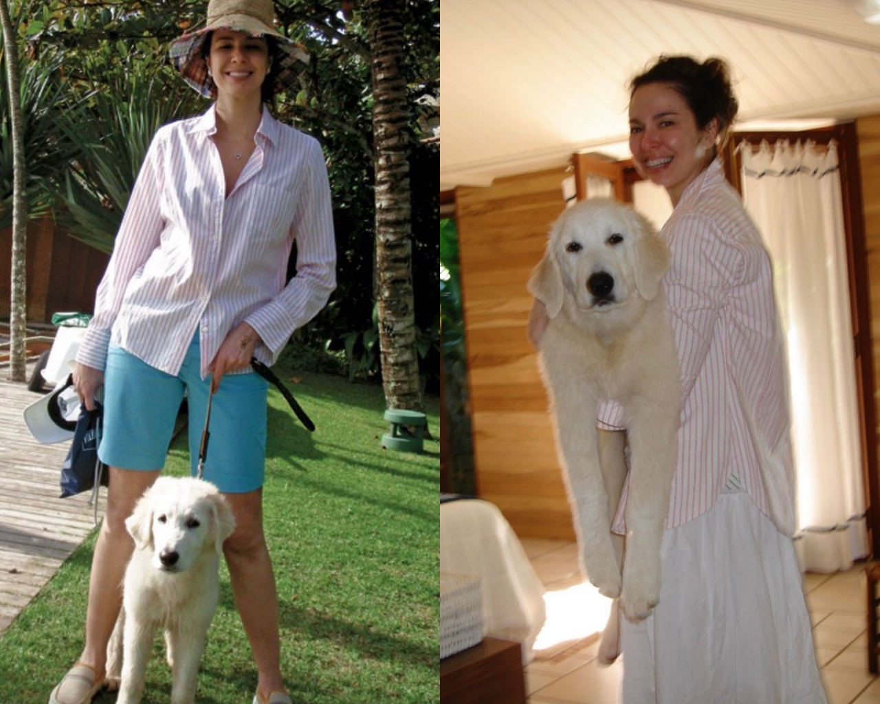 Luciana Gimenez se despede de cachorro: ‘vão sacrificar’ 