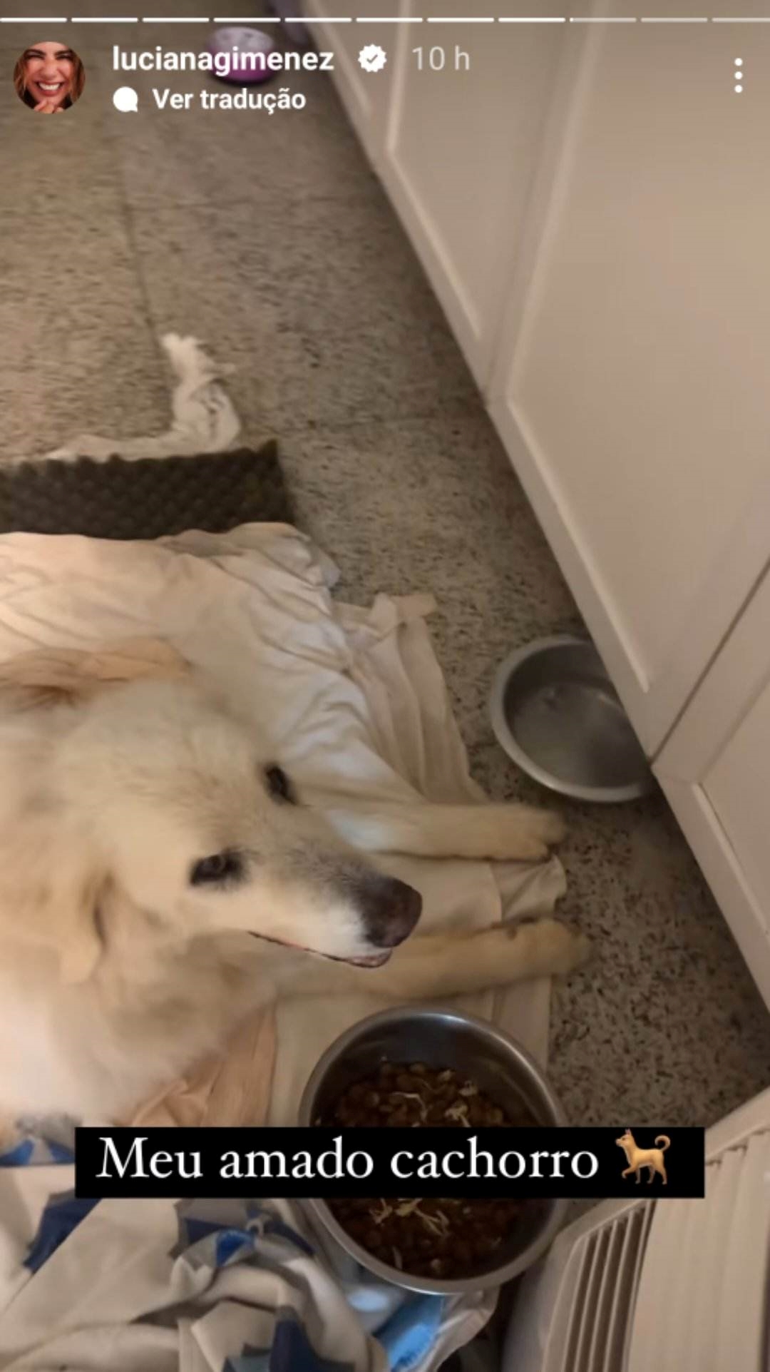 Inconsolável, Luciana Gimenez se despede de cachorro: ‘vão sacrificar’ 