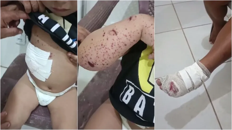 Idomilson Martins/Reprodução