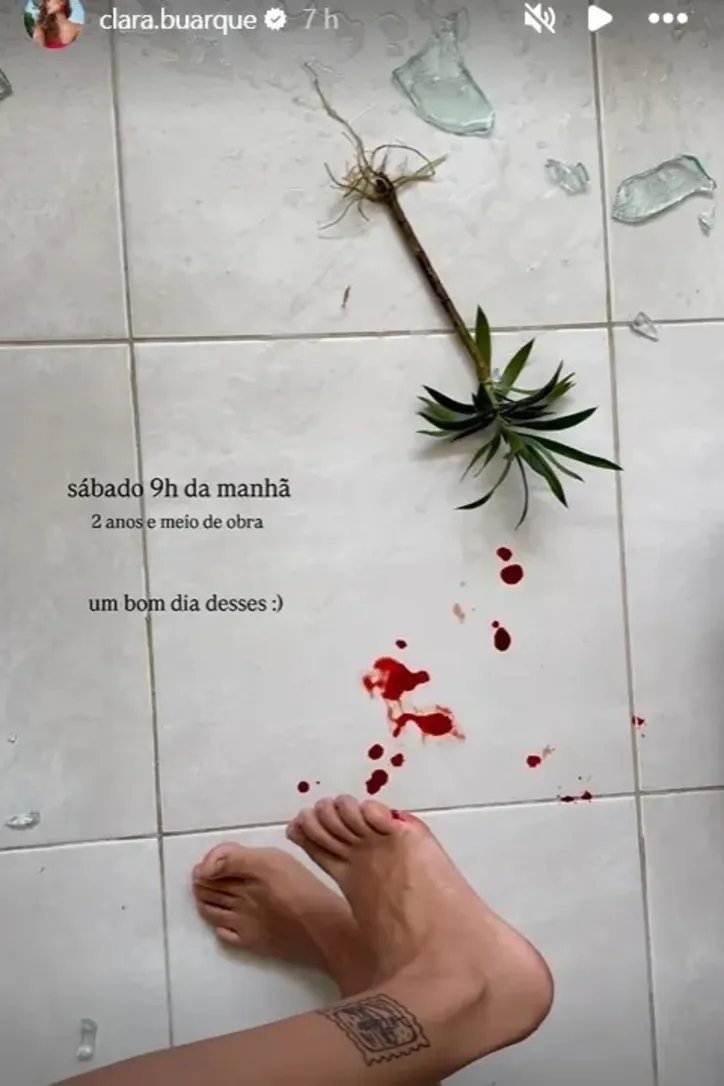 story de Clara Buarque