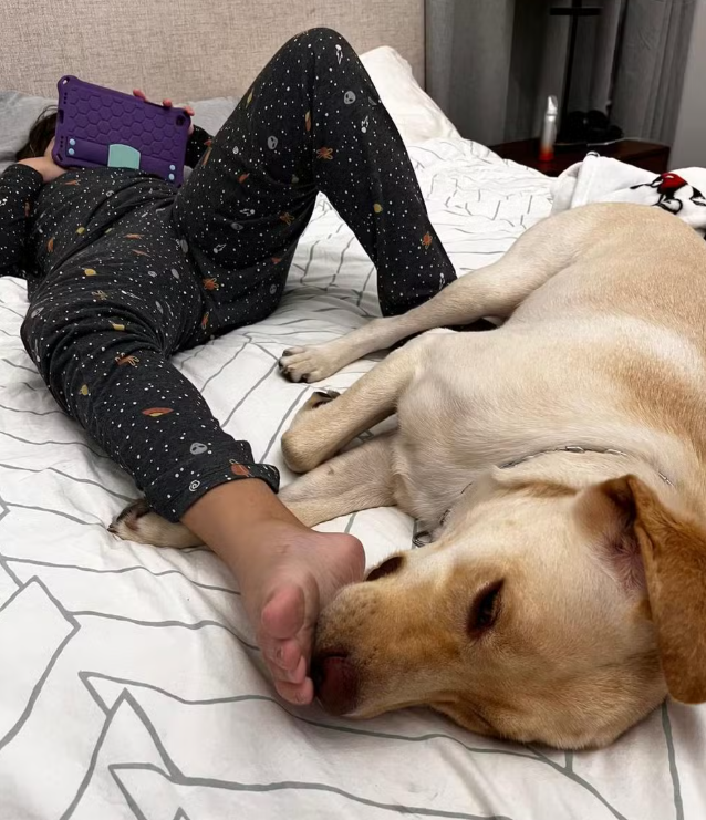 Cachorro Teddy com garotinha autista 