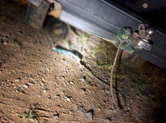 Homem que arrastou cachorro amarrado a carro tem prisão preventiva decretada