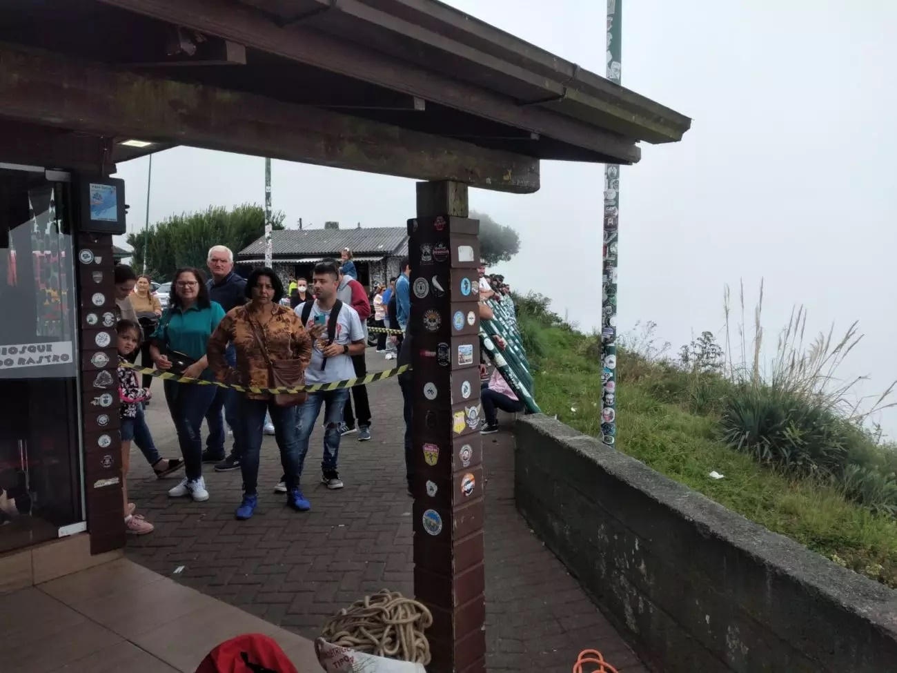 Cachorro despenca de penhasco de 10 metros após correr atrás de quatis