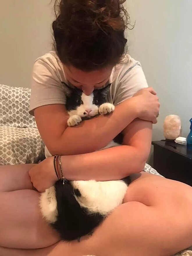 Tutora descobre que gato tem segunda família e acha graça da situação