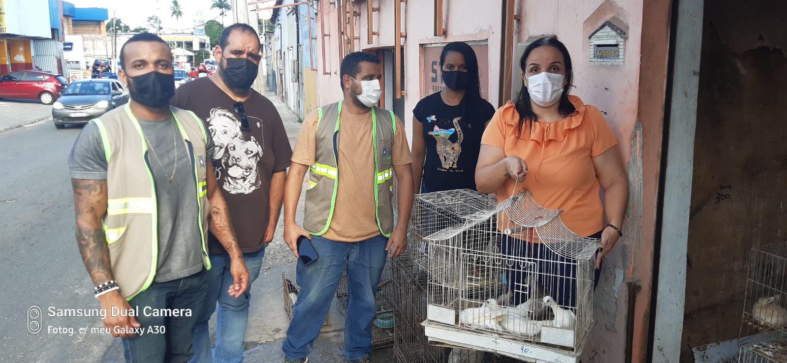 ONG resgata 71 animais em situação de maus-tratos em Lauro de Freitas; veja vídeos