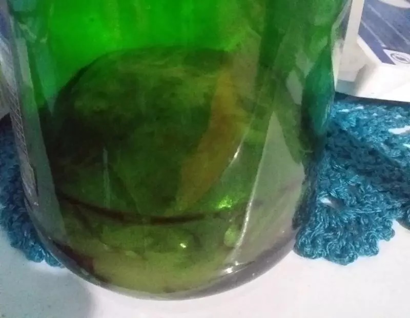 Jovem confessa ter comido órgão de pet e prisão preventiva é decretada