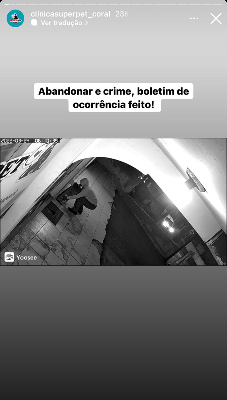 Câmera de segurança flagra abandono de filhotes de cachorro e clínica se revolta: "Boletim de ocorrência feito"