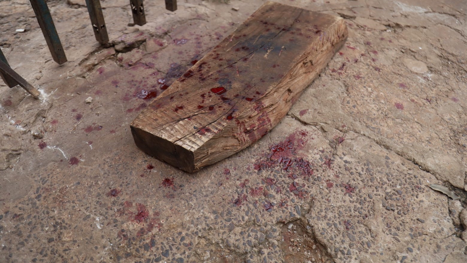 Pit bull ataca vizinhança, mas tutor do animal rebate alegações 